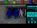 Dungeon Master - pełna wersja (DOS)