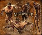 The Elder Scrolls III: Morrowind - gameplay (Balmora)