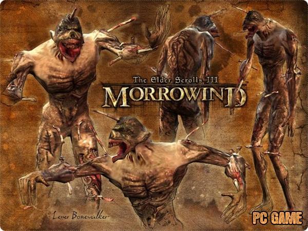The Elder Scrolls III: Morrowind - gameplay (Balmora)