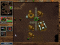 Warcraft: Orcs & Humans - Pełna wersja (DOS)