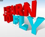 Lern to fly