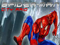 Spider-Man City Raid