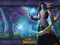 World of Warcraft i World of Warcraft: The Burning Crusade w specjalnej cenie!