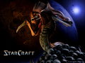 Kody do StarCraft (PC)