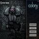 Colony
