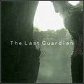 The Last Guardian (PS3) kody