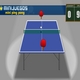 Mini Ping Pong
