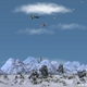 Dog Fight 2