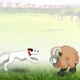 Sheep Jumper