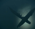 Silent Hunter 5 - Launch Trailer 